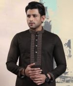 Exquisite Embroidery Work Panjabi. RR-386 - Image 4