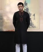 Exquisite Embroidery Work Panjabi. RR-393 - Image 7