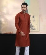 Exquisite Embroidery Work Panjabi. RR-413 - Image 5