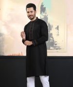 Exquisite Embroidery Work Panjabi. RR-438 - Image 7